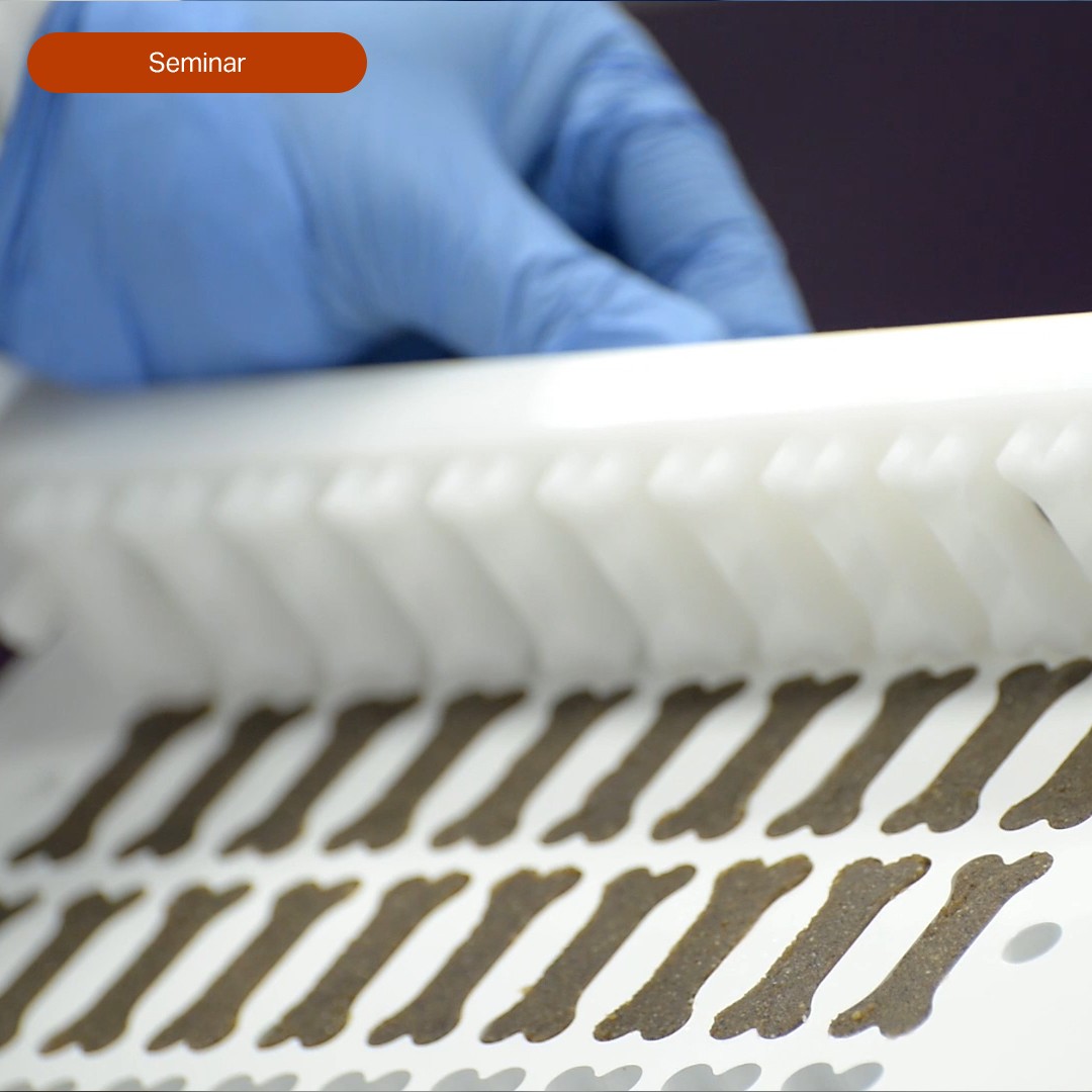Veterinary compounding seminar & lab: A customized approach