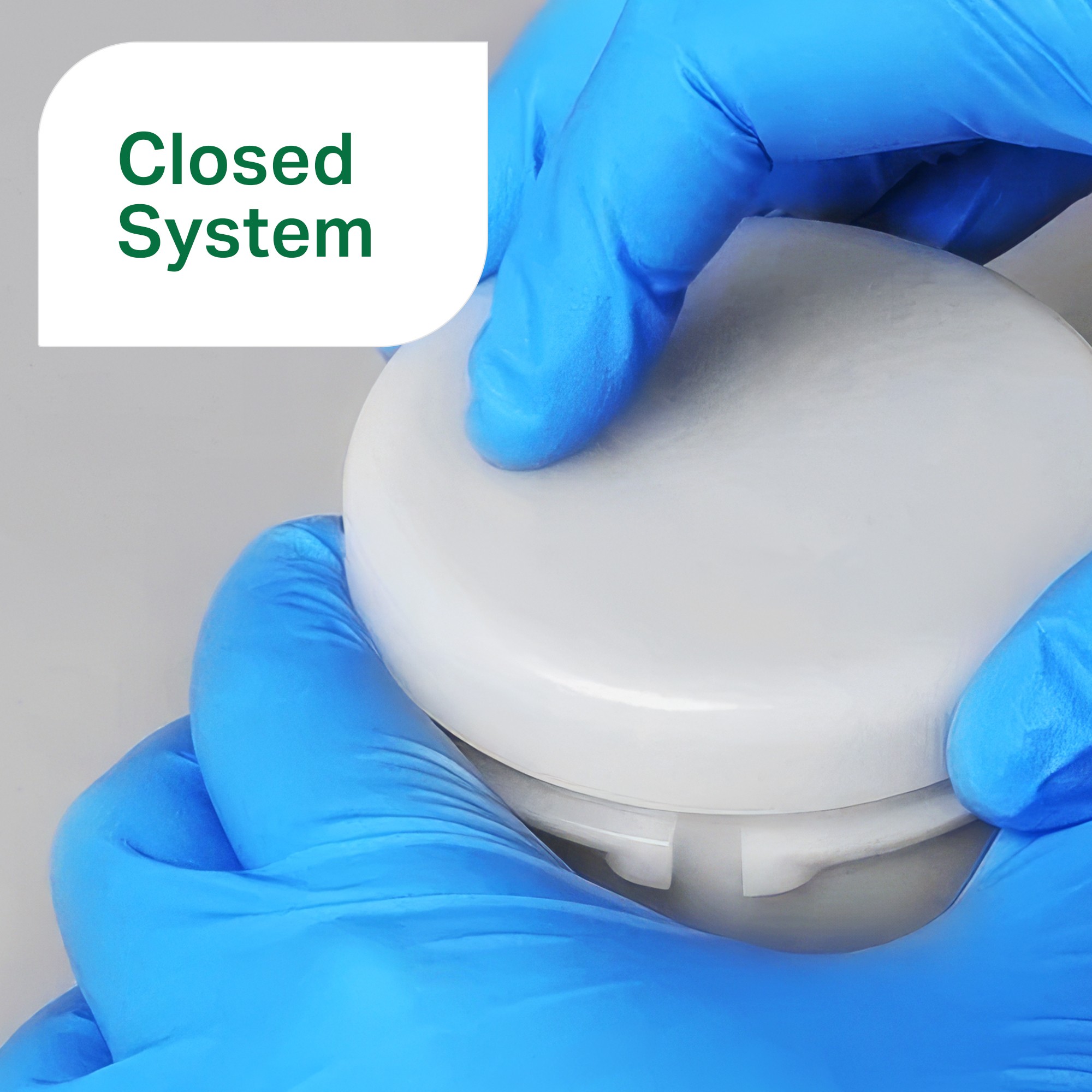 MAZ® Mixer KK-300SS, 310 g × 1