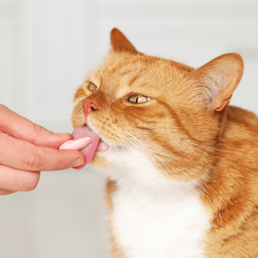 Bitterness supressors