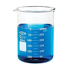 Beaker, Glass with Spout, Dual Scale, 300 mL
